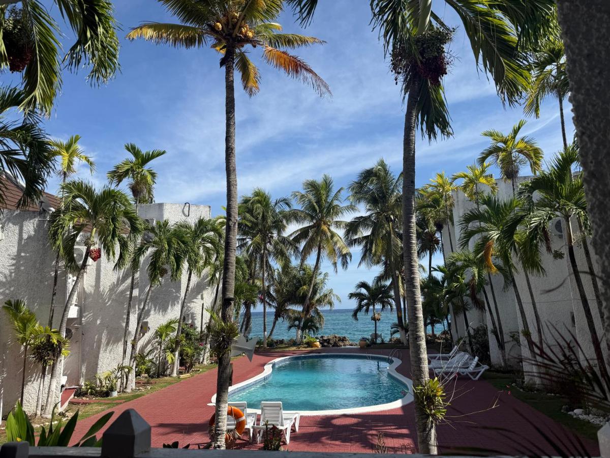 Beachfront home near Dunns River Falls - 4