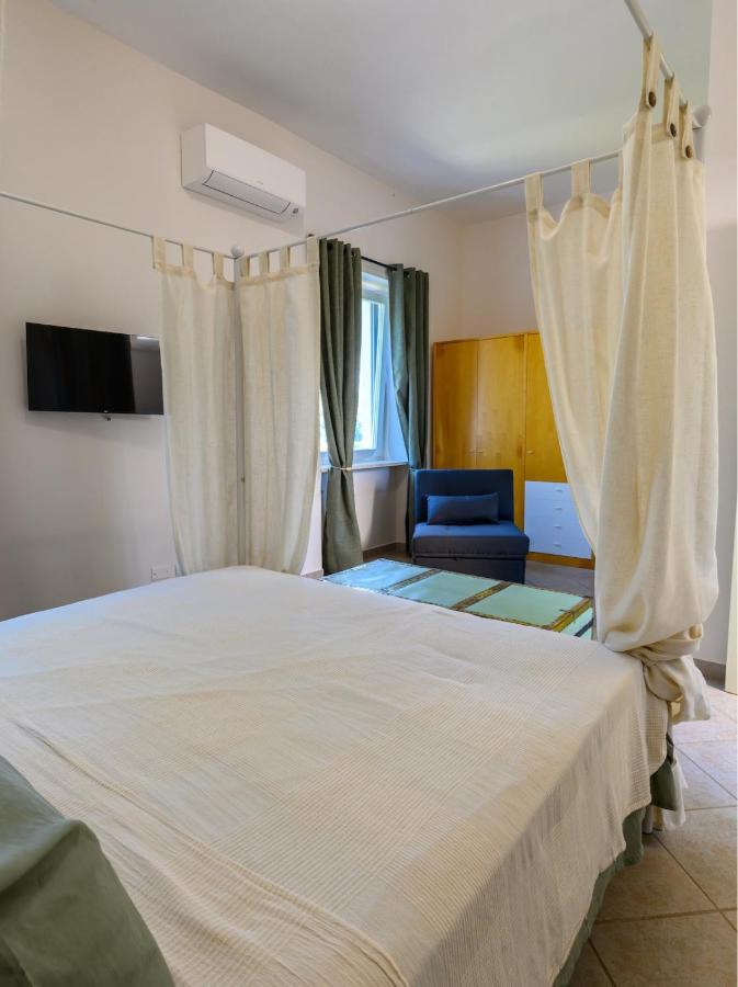 L'Angolo degli ulivi - House on the green hills of the Sorrento coast - 2