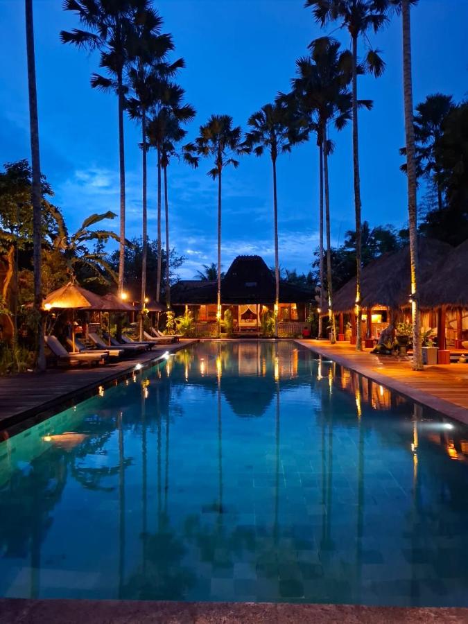 Ubud Virgin Villa - 4