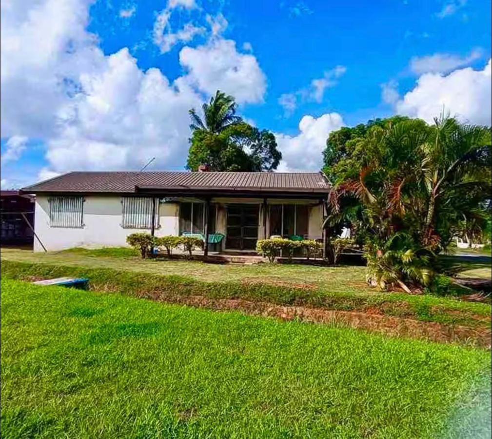 Stay with Luisa - Homestay Experience - 3