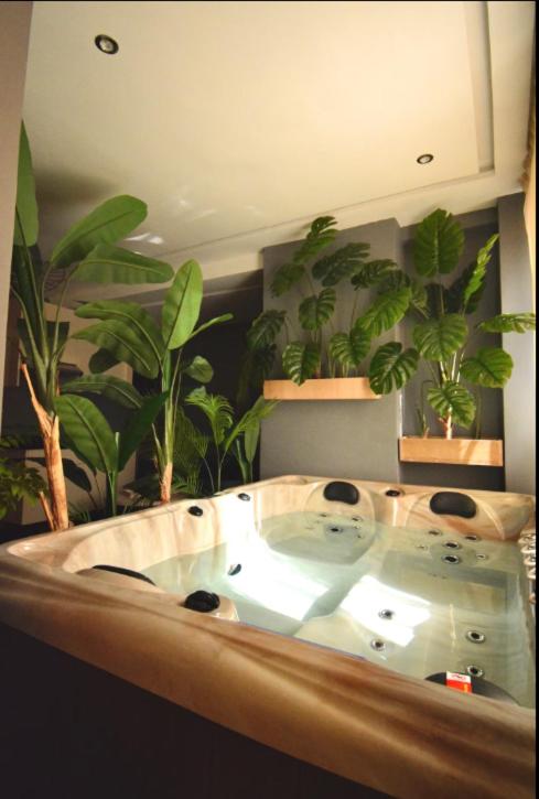 Luxurious apartment with private jacuzzi - 3