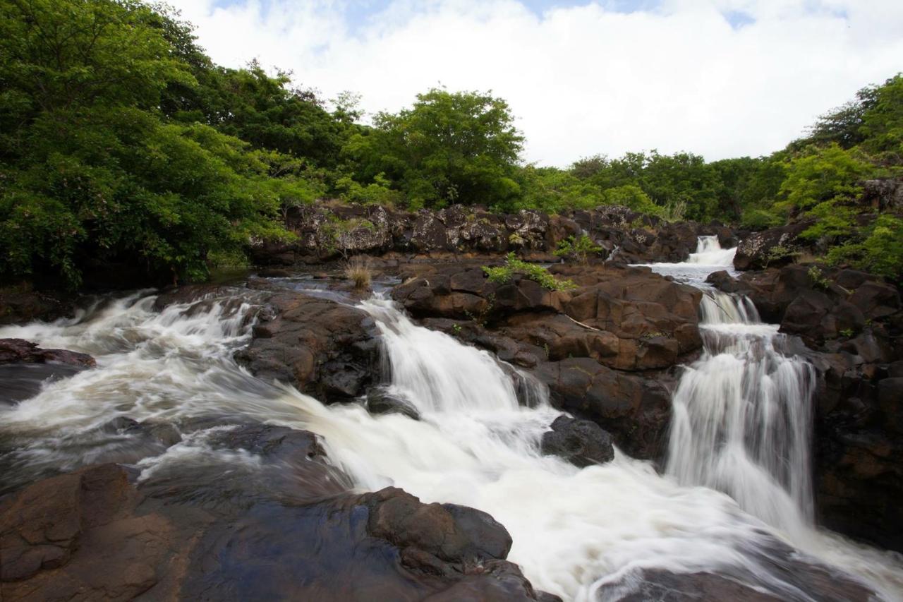 EvaZion River Side - 4