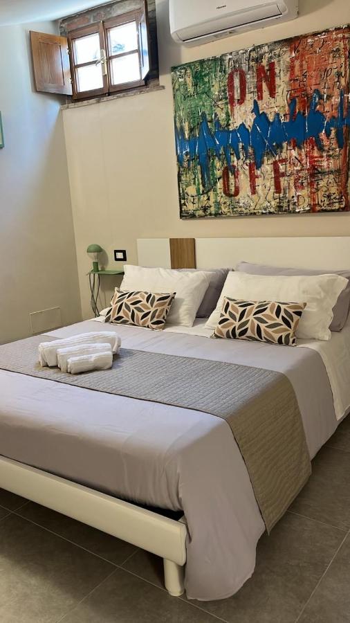 Olivo San Miniato - 2