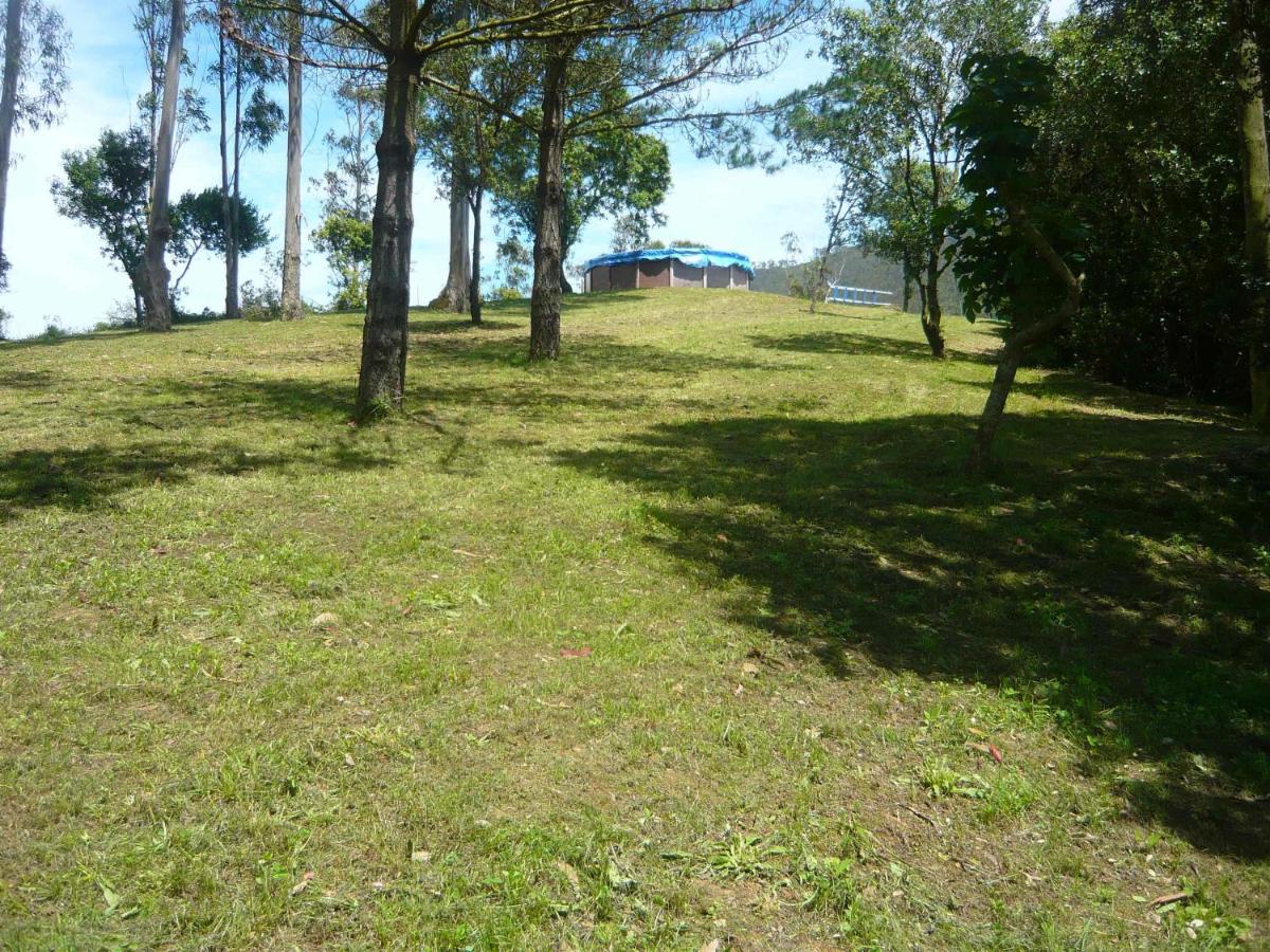 Apartamentos Playa La Franca, La Franca – Precios ...