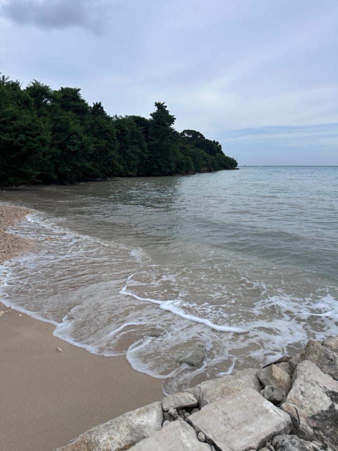 OneLoveVilla, Oceanview beach house, Whitehouse JA - 4