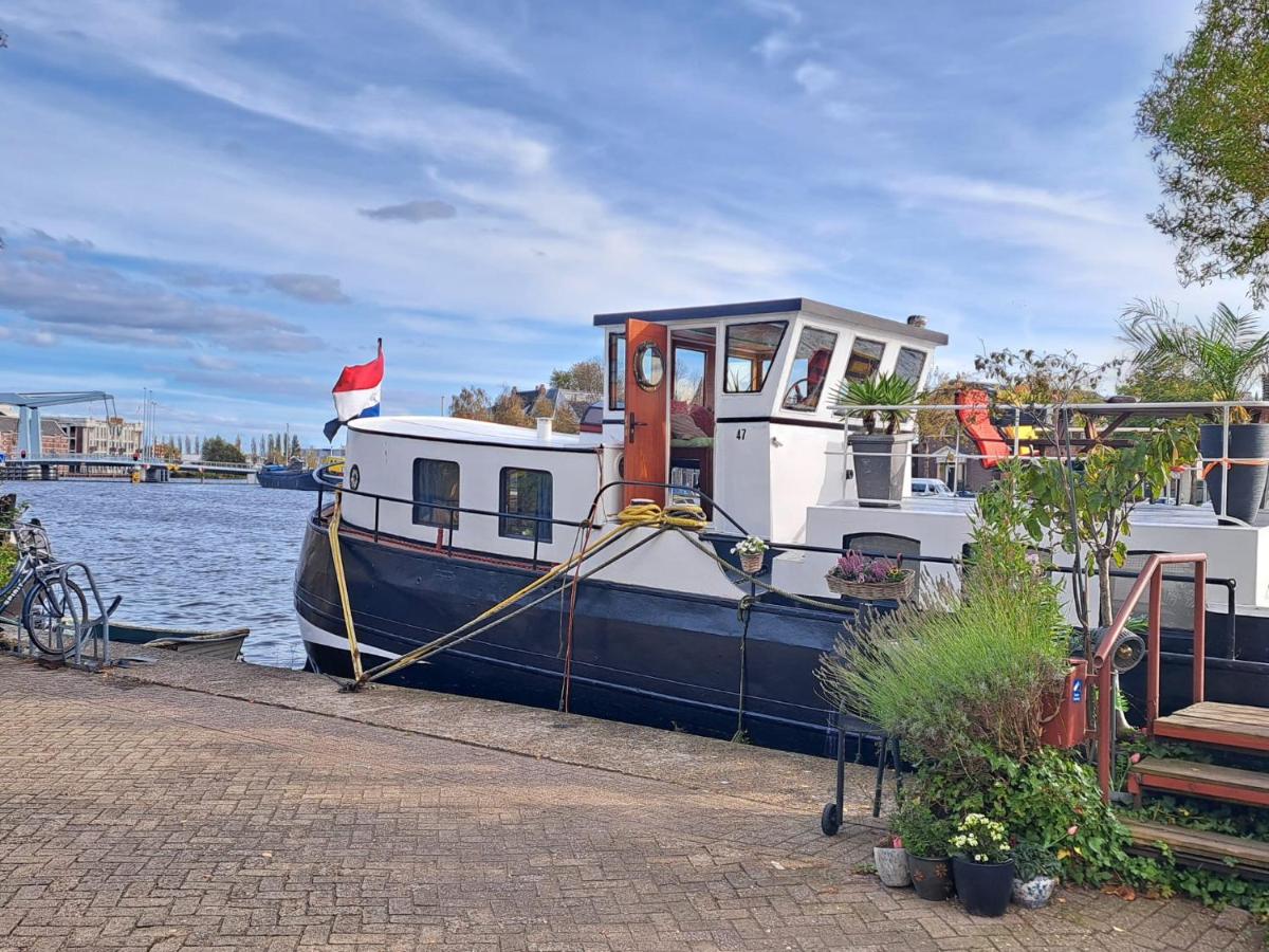 B&B Teddy "Prachtig authentiek woonschip uit 1912, 15 minuten van Amsterdam" - 4