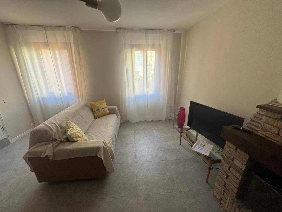 Olivo San Miniato - 5