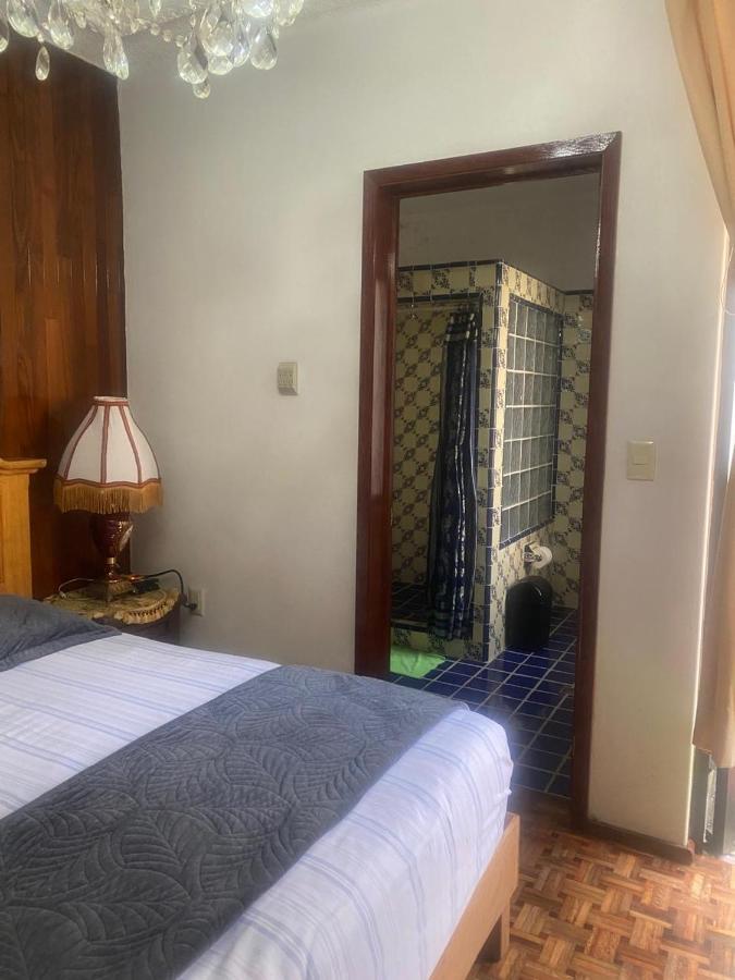 Los viveros de Coyoacan - 4