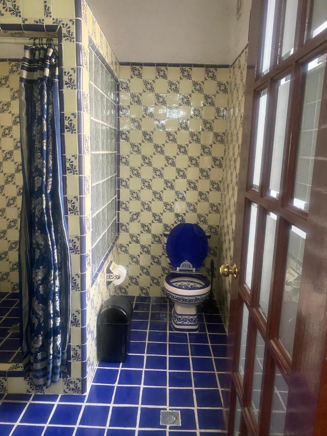 Los viveros de Coyoacan - 3