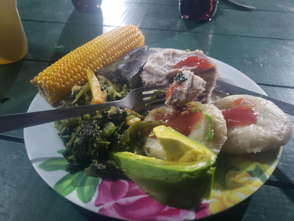 Blue Mountain Wilderness Retreat Jamaica House - 2