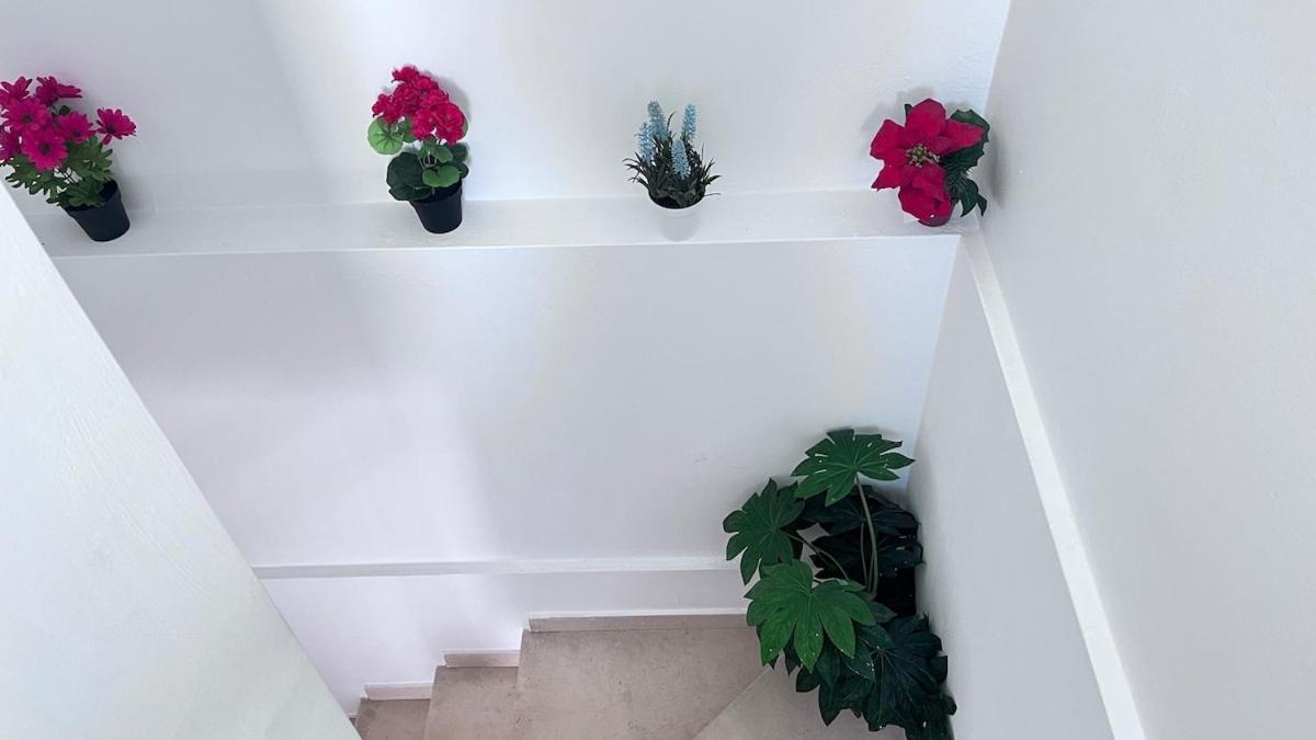 Little Home in the Heart of Olhão