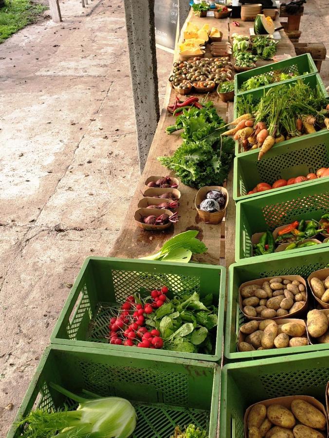 Glamping im beheizten Campingfass auf Leo's Farm - 4