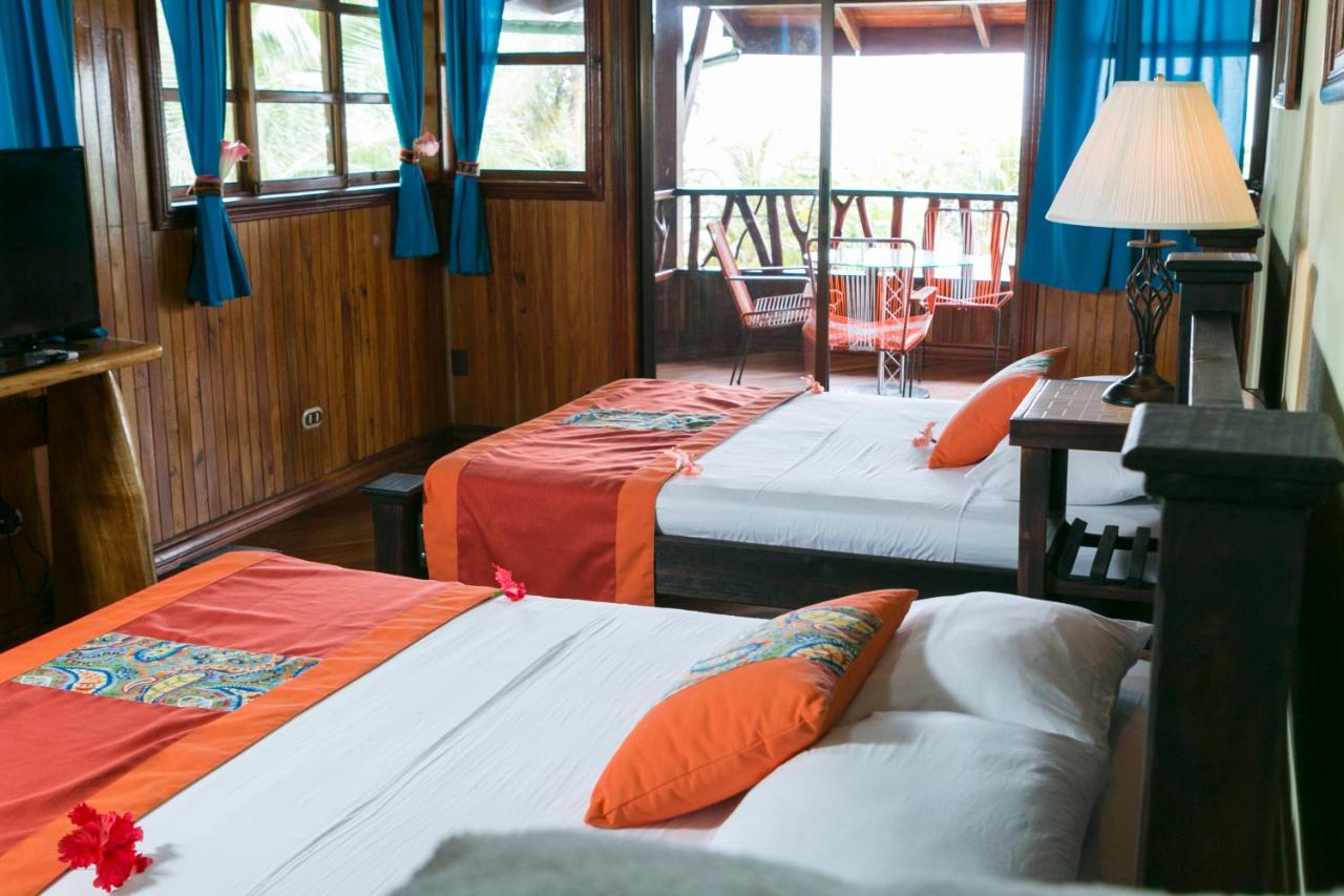 Hotel La Isla Inn photo