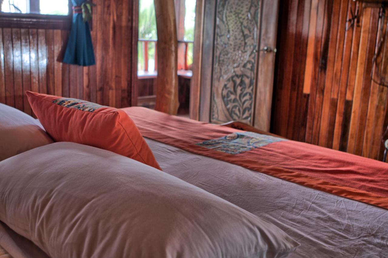 Hotel La Isla Inn photo