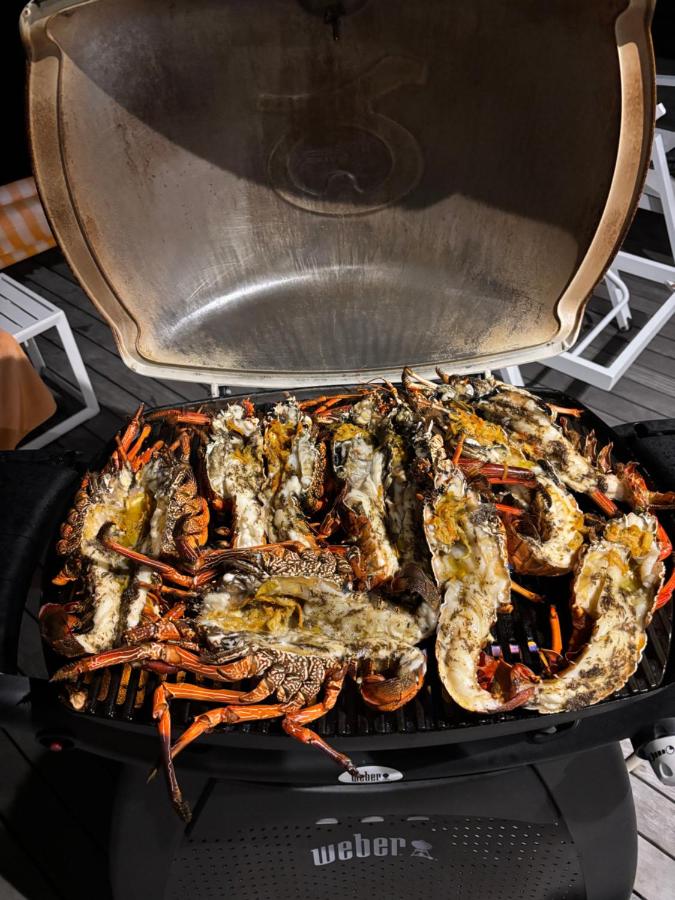 Villa lagoon view Baie du cap bel ombre - 4