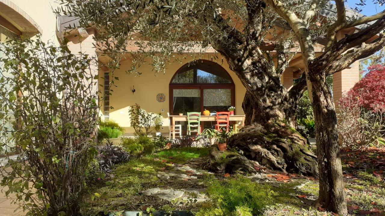 A casa di Jolanda, indipendent house near historic Venice center with private parking and wide and fenced garden - 3