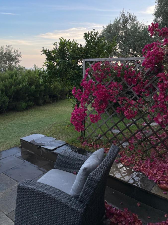 Cottage among the olive trees with a total sea view - 2