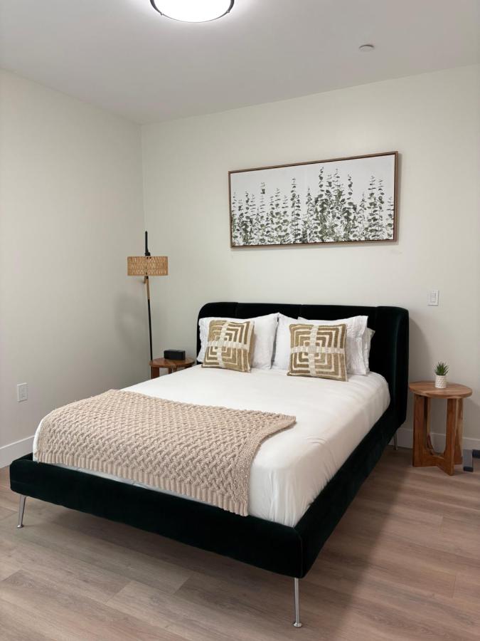 Modern Crypto Luxury Living - 2