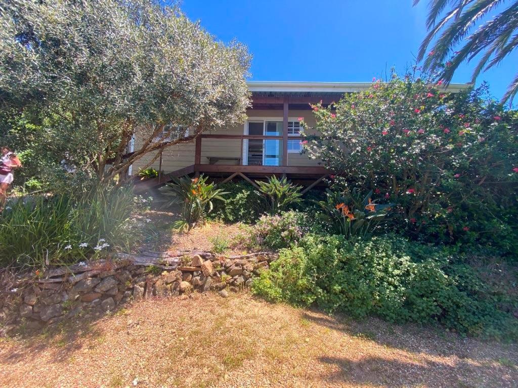 Mountain Views in the Heart of Tamboerskloof - 5