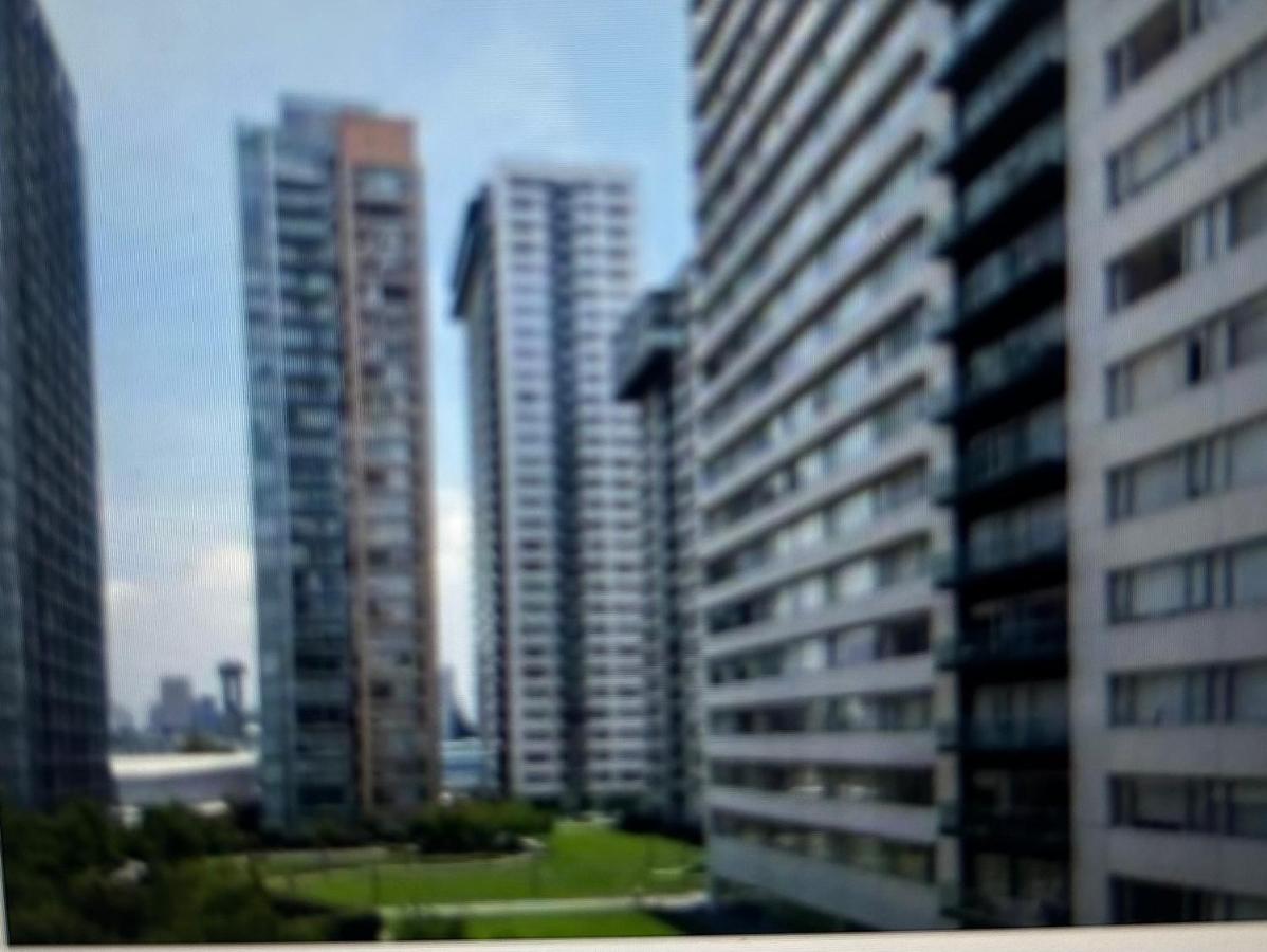 Parques Polanco, beautiful and excellent location one bedroom and a sofa bed - 2