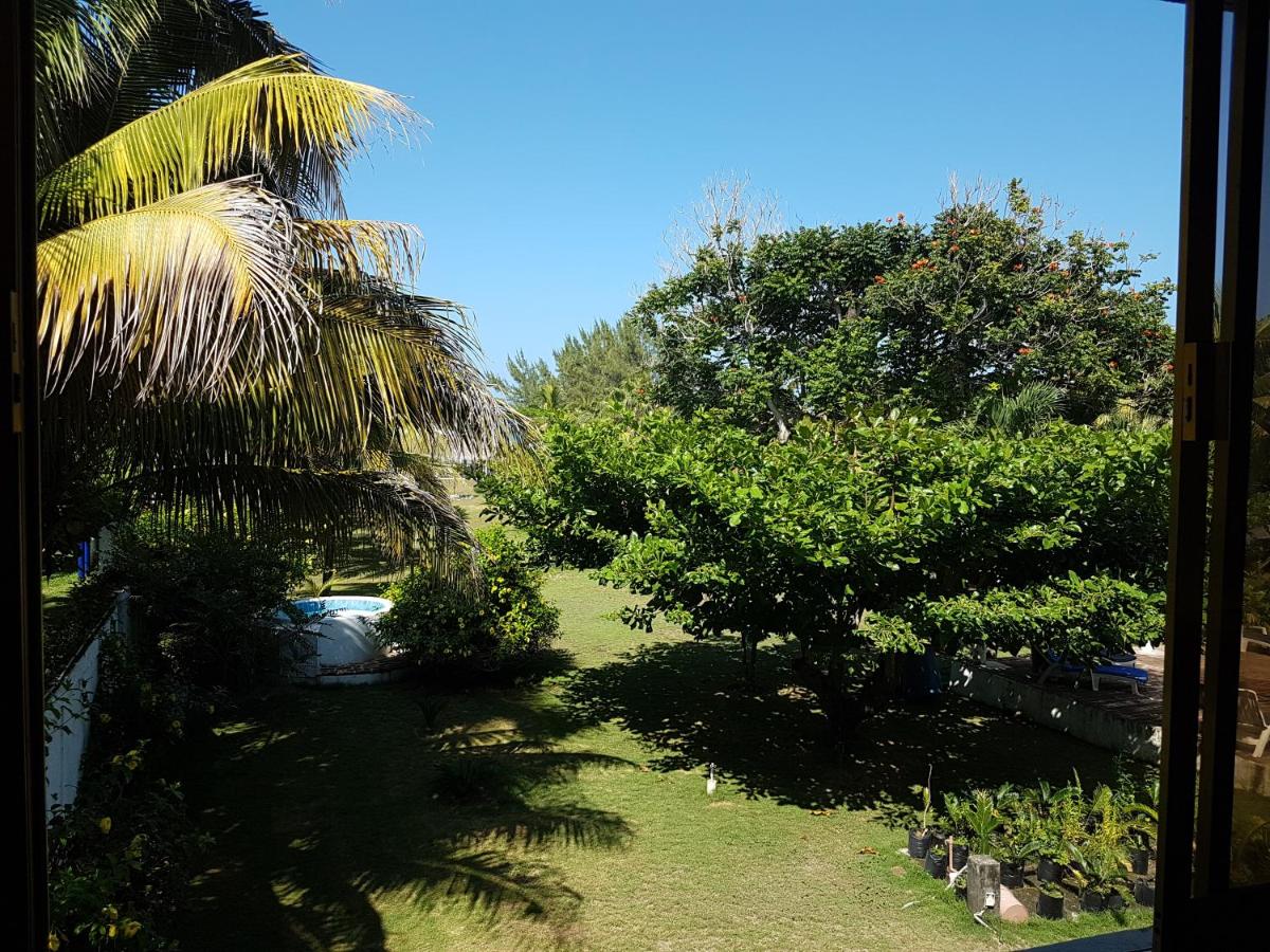 Doral — photo 20