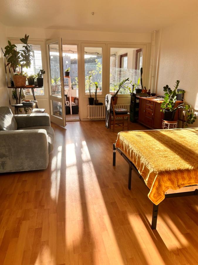 1 Zimmer mit Aussicht und 1 Zimmer mit Balkon in 4 Zimmer Wohnung, Szene, Parks und Top Lage - 2