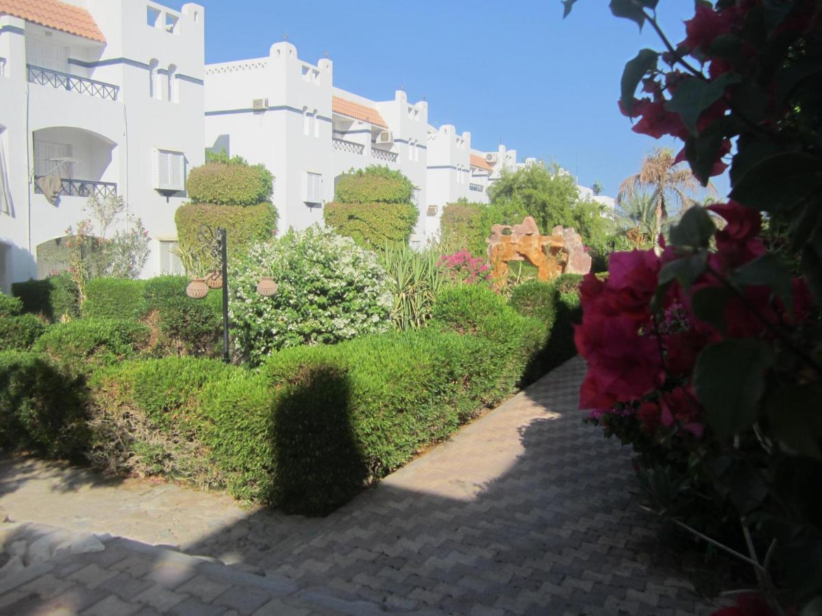 Rivera Sharm Habiba Apartments photo