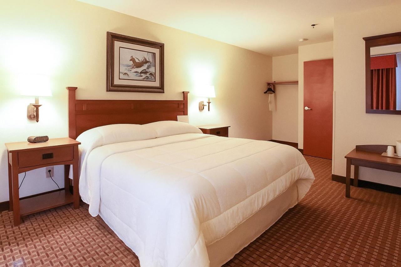 Mountain Inn & Suites Airport - Hendersonville — photo 17