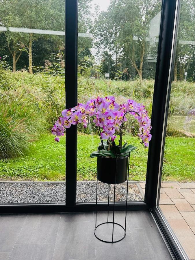 Stylish chalet in nature near Amsterdam - 2