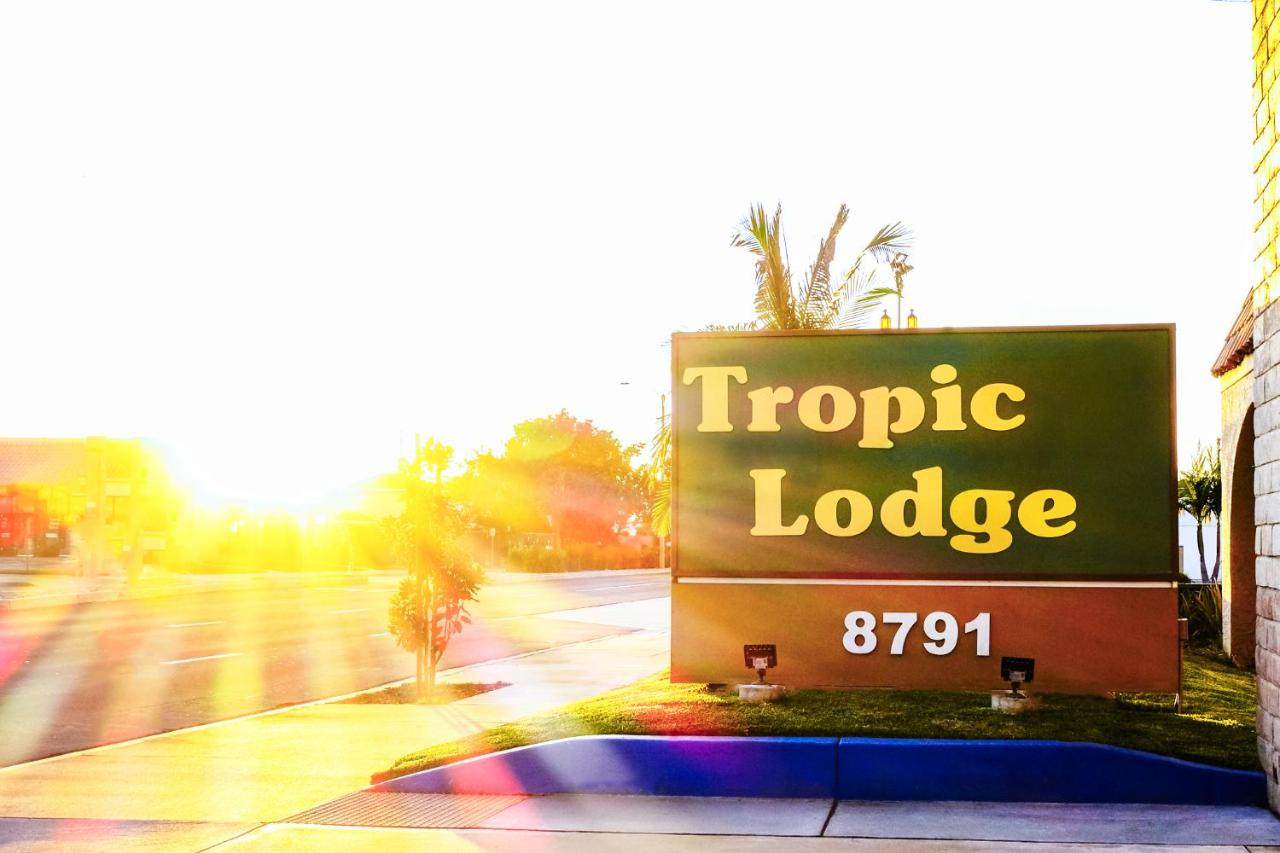 Tropic Lodge — photo 22