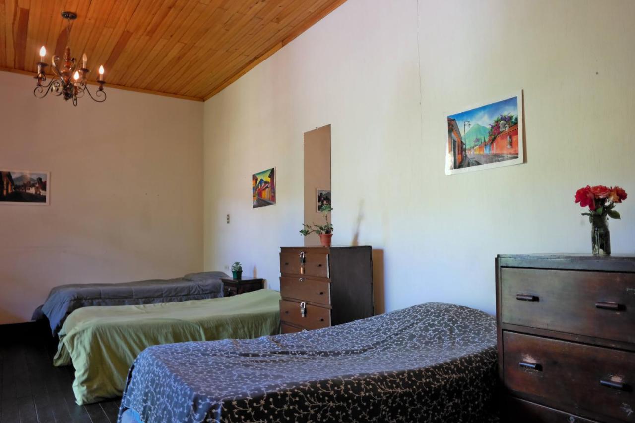 shark hostel