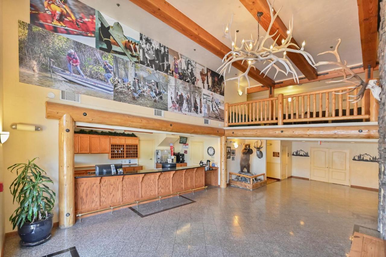 Murphys Suites — photo 1