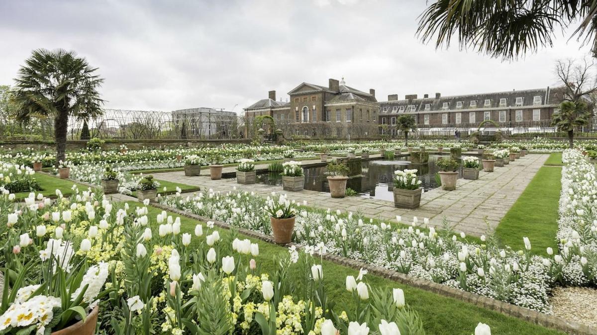 Stunning Kensington Studio, Central London - 5