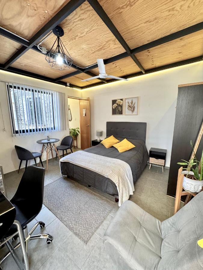 Citla-9 Hermoso e iluminado departamento - 4