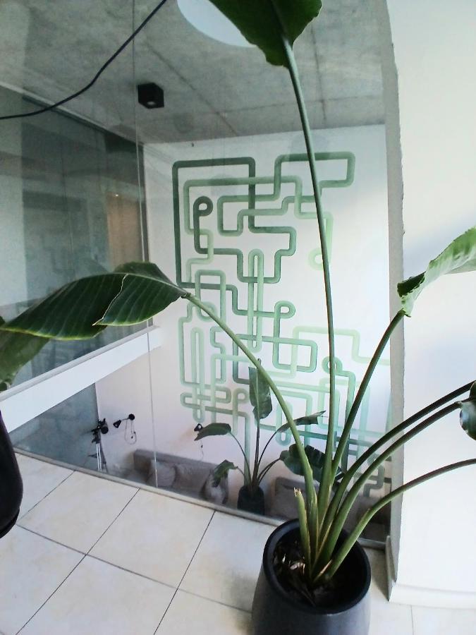 Hermoso y acogedor apartamento en Palermo - 3