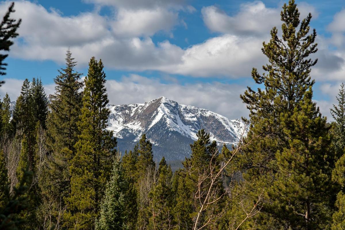 Elk Meadows Lodge — photo 19