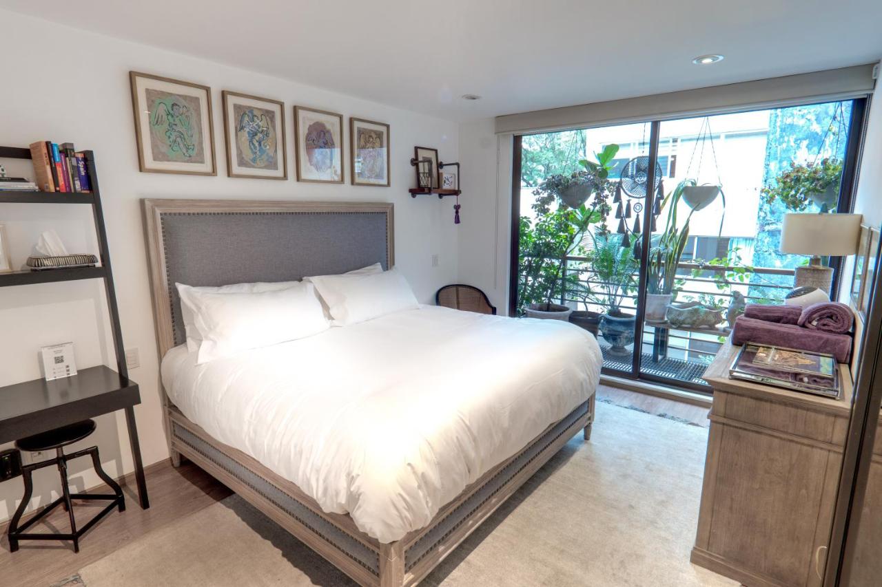 Arte y Lujo en Polanco - Casa Gama Vicente - 2