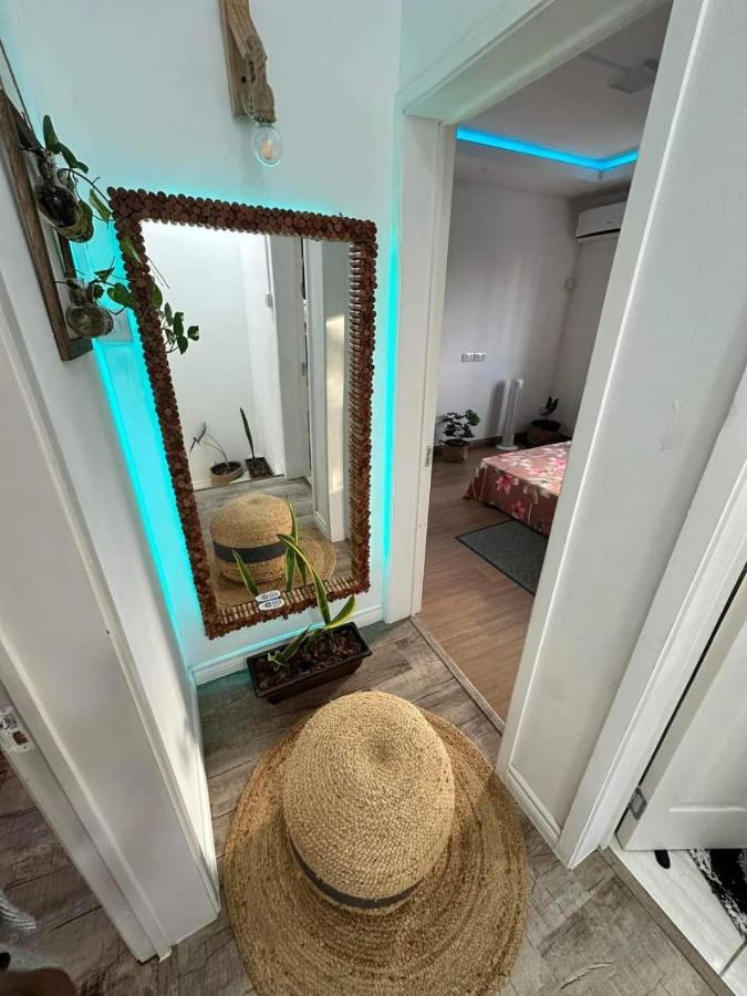 Divine Duplex with Lush garden 7 Minutes Drive to the Beach - 4