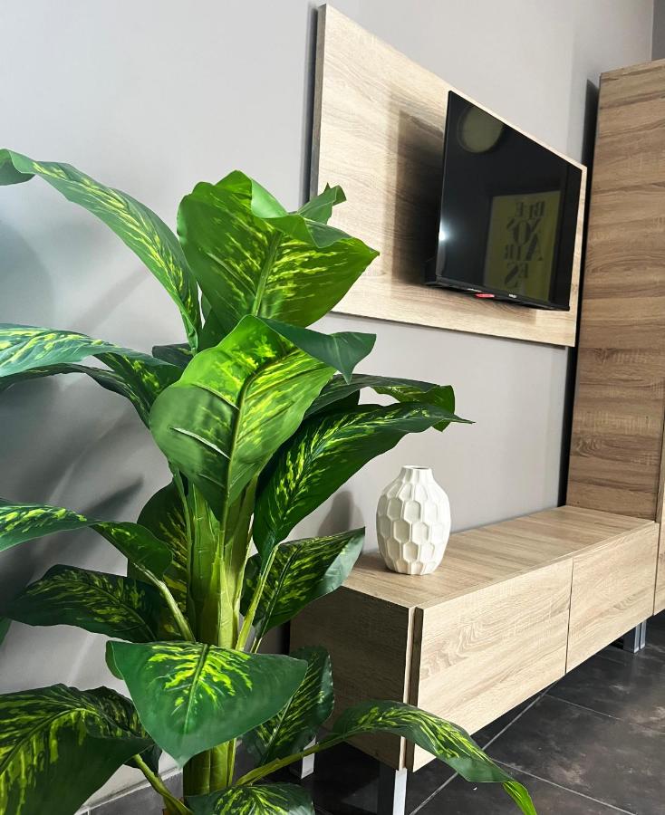 Defensa 821 - Studios in San Telmo - 5