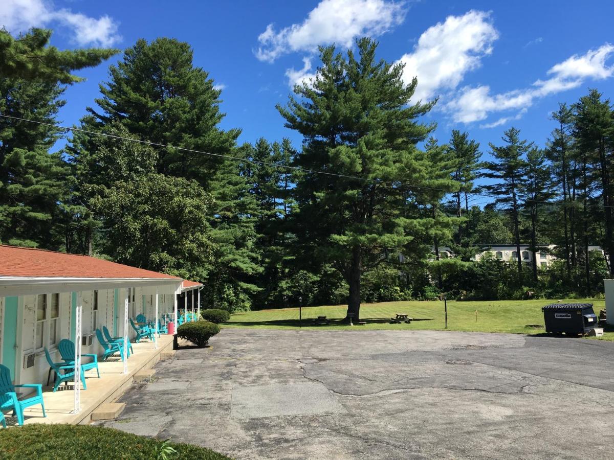 Doray Motel Lake George — photo 10