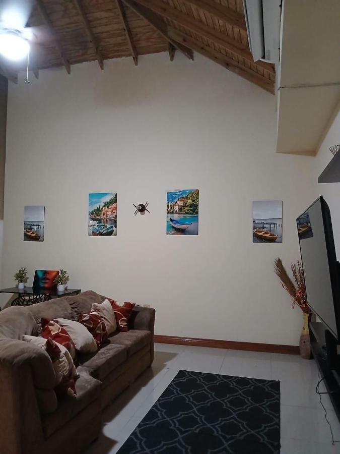 A beautiful two bedroom apartment in New Kingston - 4