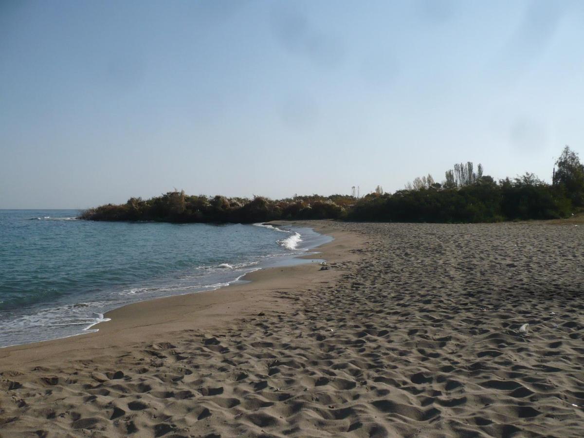 Beach: Jurten Camp Almaluu