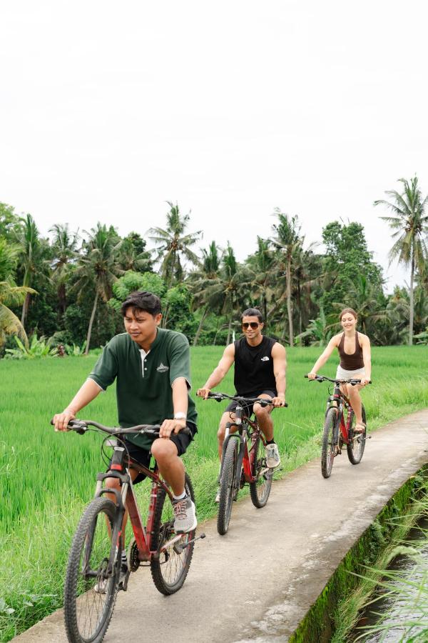 Aryaswara Villa Ubud - 4