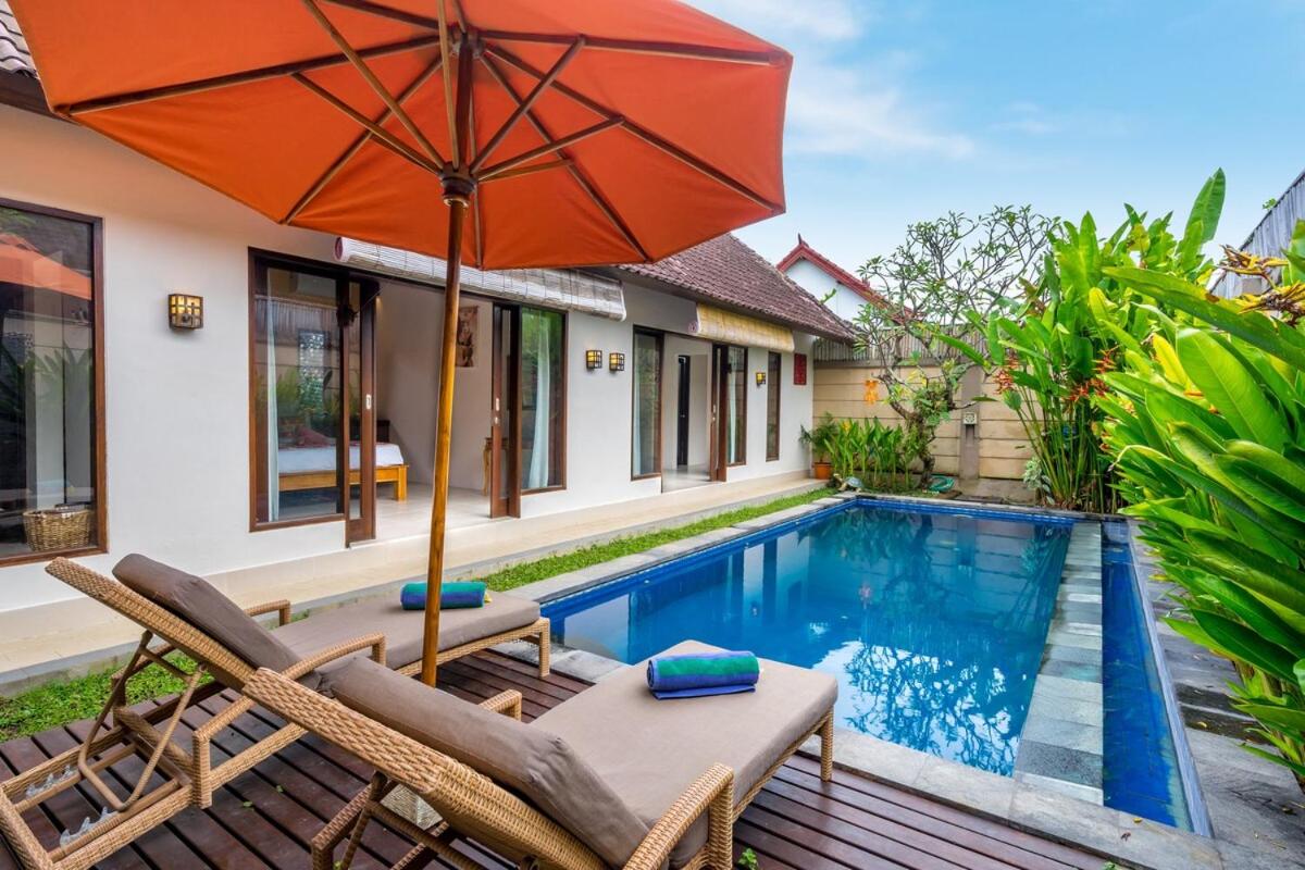 Villa Alamanda, central location and close to restaurants - 4