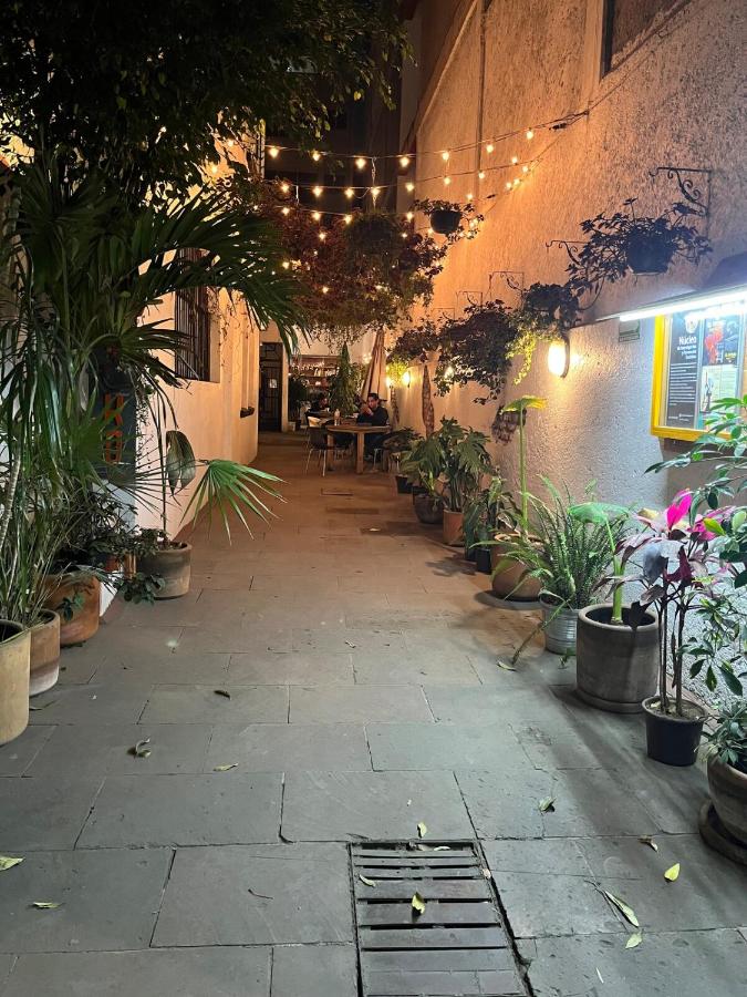 Mini loft with a small terrace en Condesa - 3