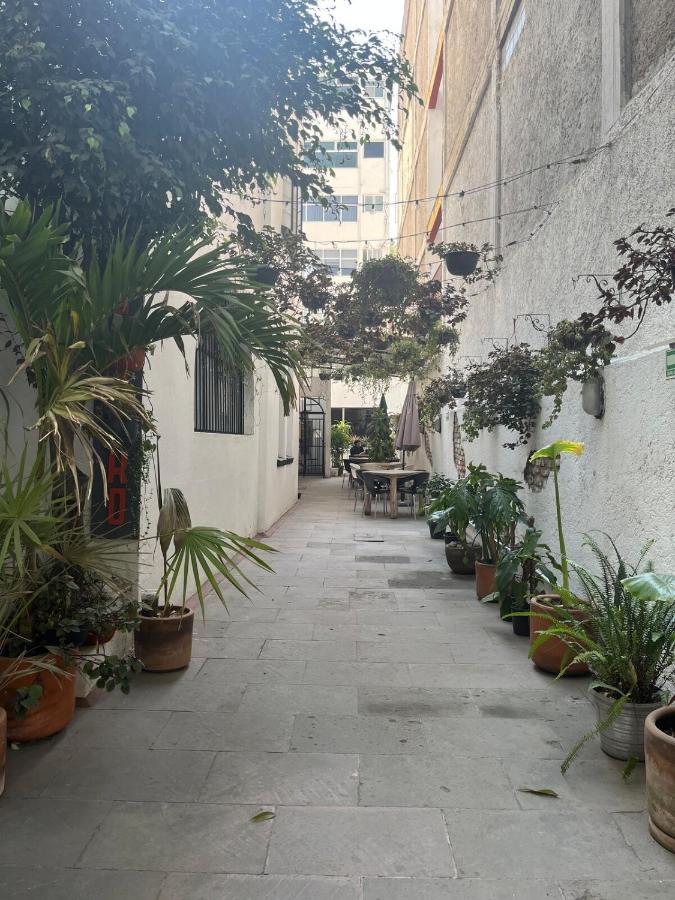 Mini loft with a small terrace en Condesa - 5