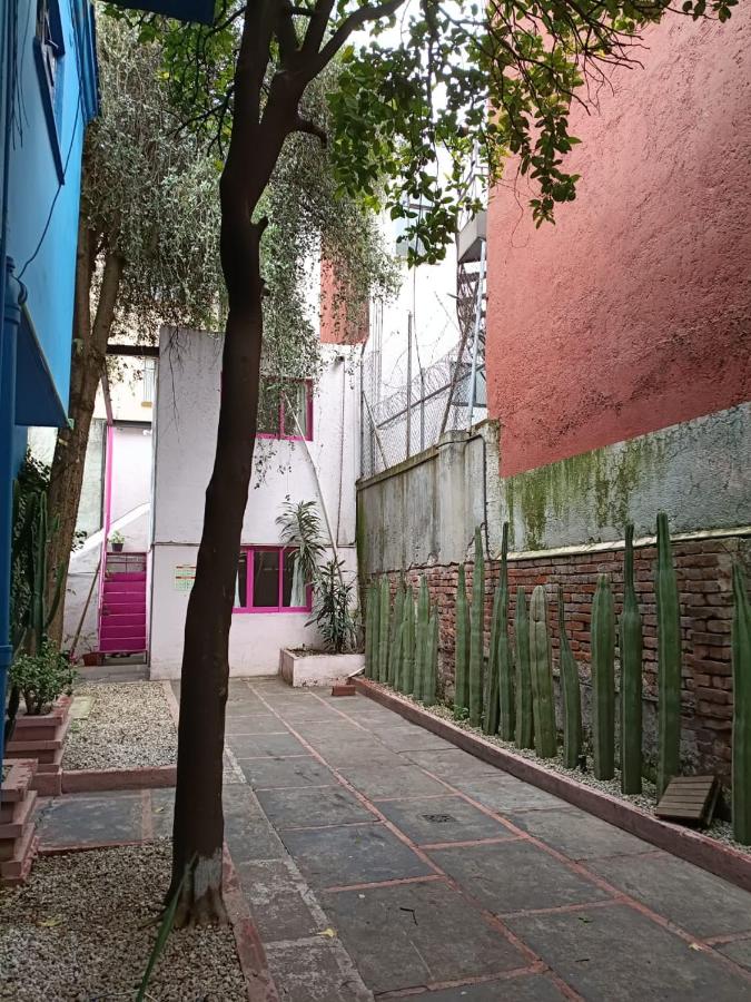 Casa Santy Condesa Suites - 5