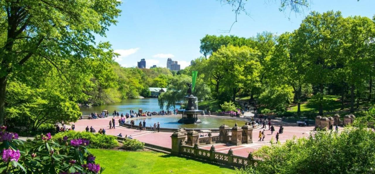 apt5 - East Harlem, Manhattan by Monthier - 5