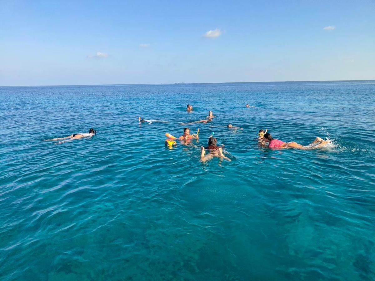Coconut Palm Dhidhoo - 3