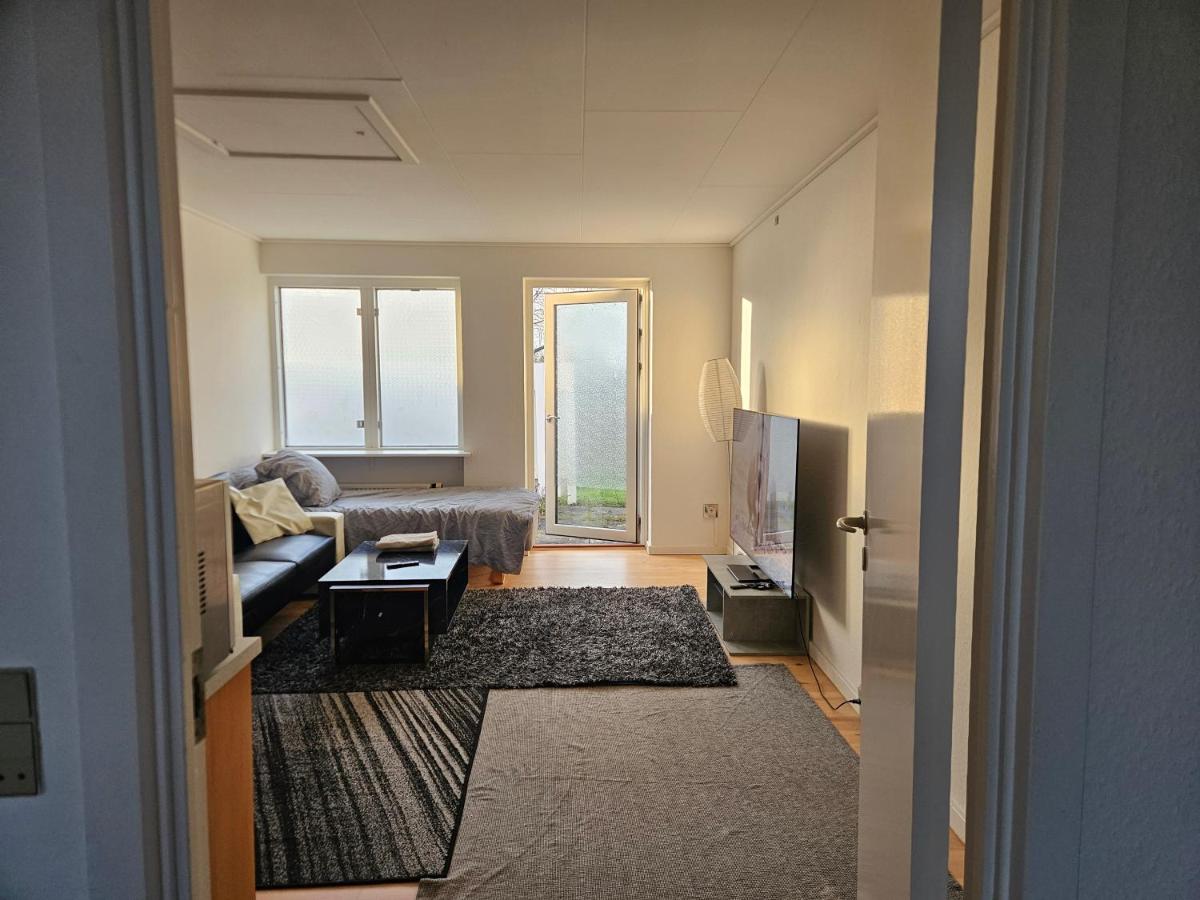 Cozy One Room Apartment - 2